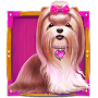 Dog in pink box