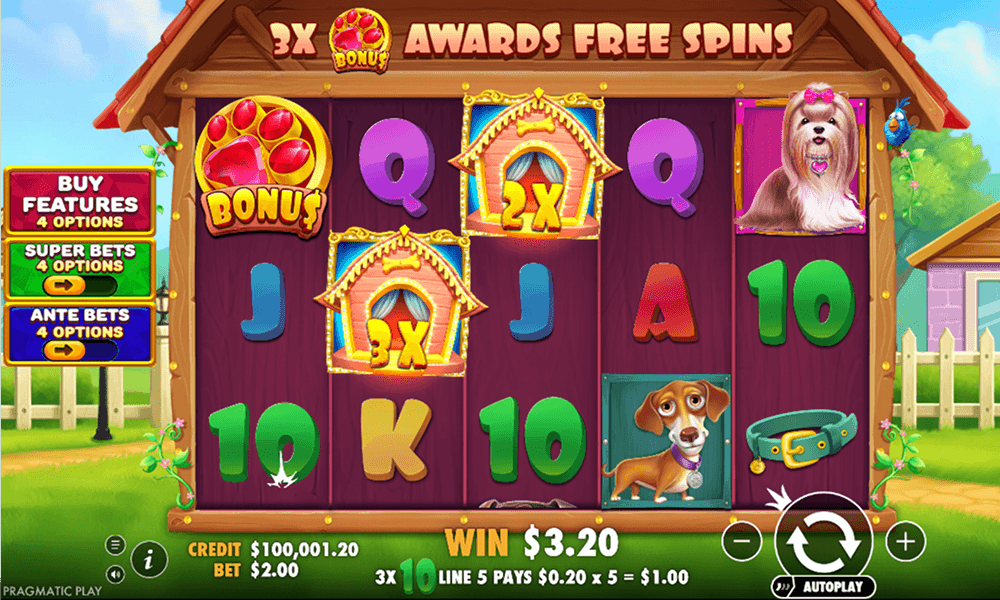 How to Win The Big Dog House: Tricks and Strategies